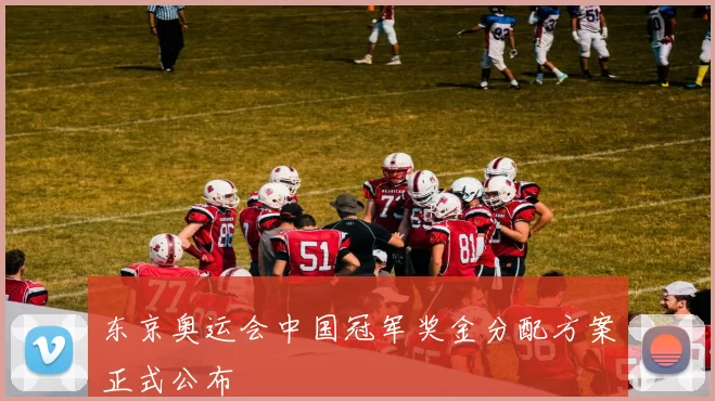 东京奥运会中国冠军奖金分配方案正式公布