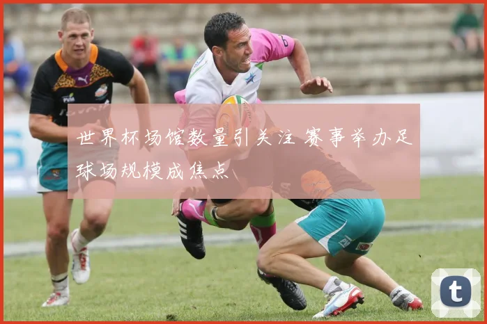 世界杯场馆数量引关注 赛事举办足球场规模成焦点